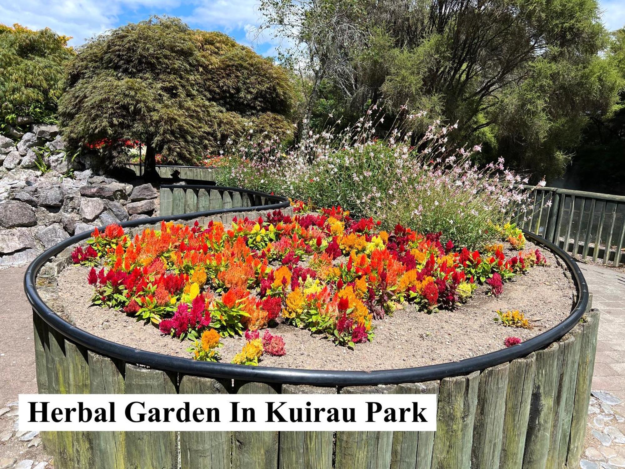 Parkview Holiday Homes "Opposite Of Famous Kuirau Park" Rotorua Bagian luar foto