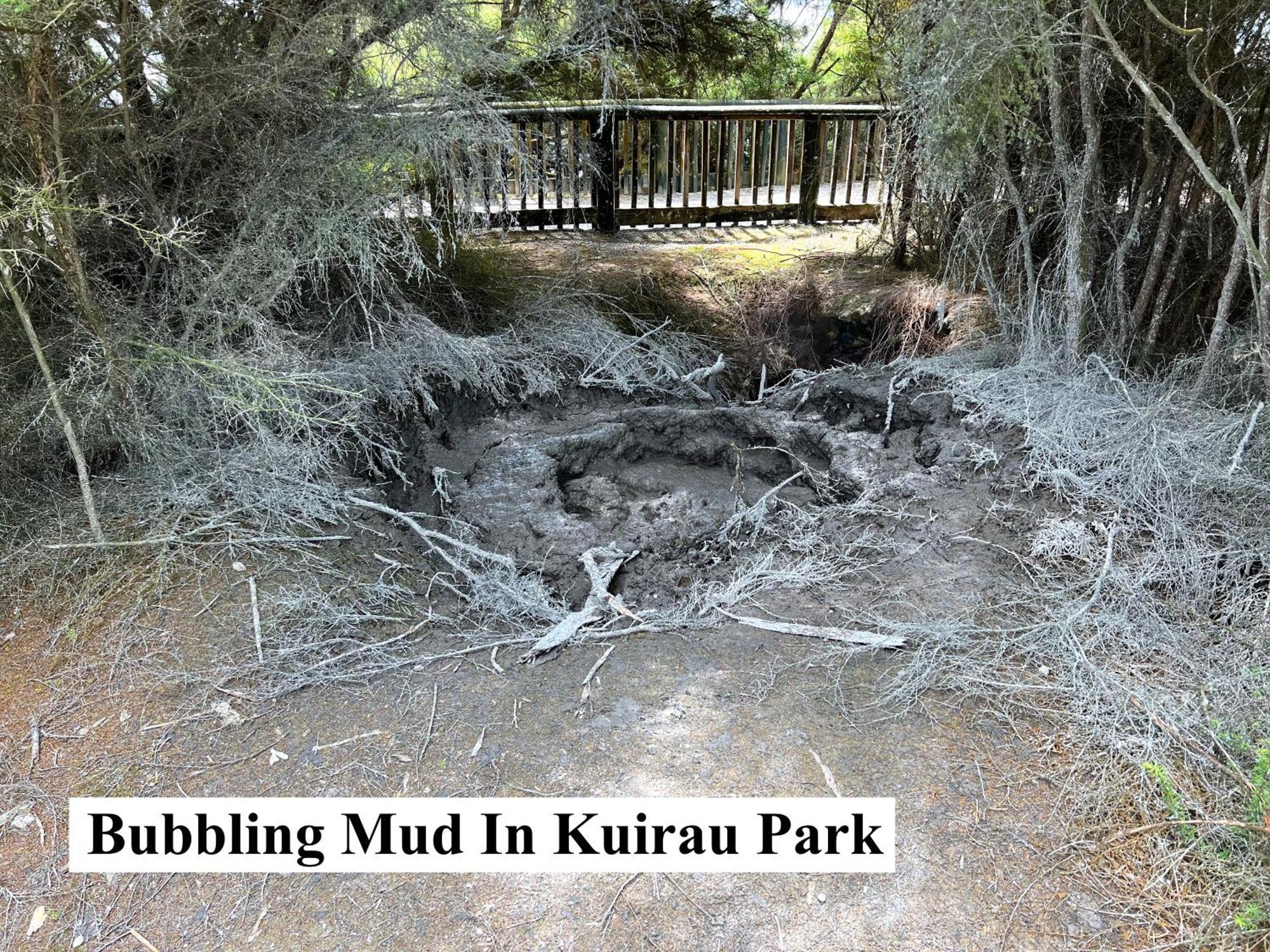 Parkview Holiday Homes "Opposite Of Famous Kuirau Park" Rotorua Bagian luar foto